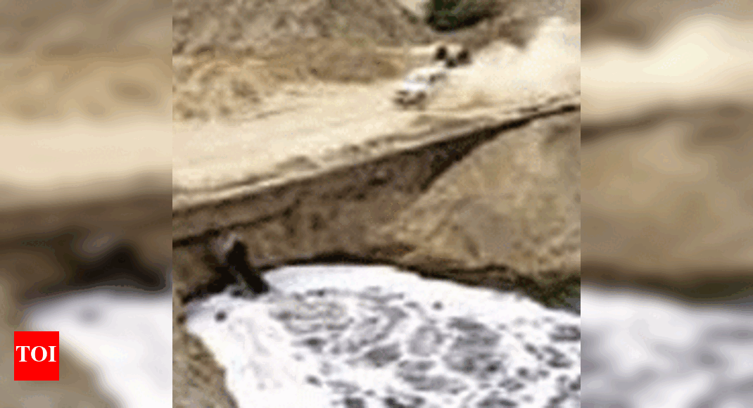 Pollution board notings belie admin's clean Gomti claims Lucknow News