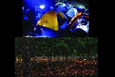Trek amidst fireflies, this summer 