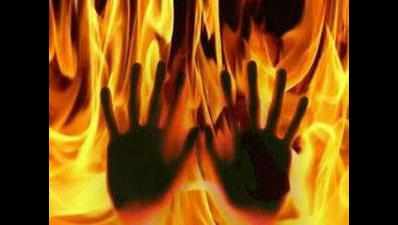 Woman burnt alive in Agra, police detain two