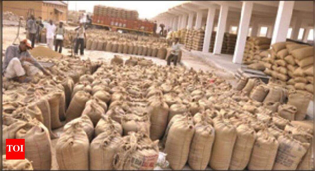 No drought here? It's bumper crop in dry Jaisalmer Jaipur News