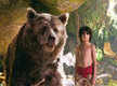 
'The Jungle Book' is the highest grosser of 2016 so far
