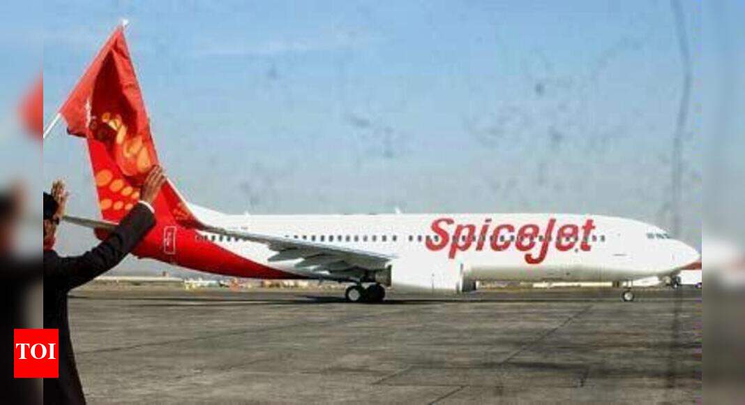 New SpiceJet flights to Tirupati, Vizag take off | Vijayawada News ...