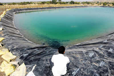 An oasis in drought-hit Maharashtra, village sets example