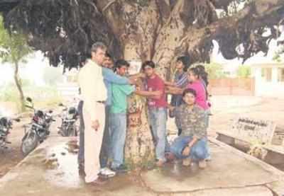 Green activists are ready for 2nd Chipko movement