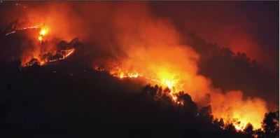 Army, IAF called in to fight U'khand forest fires