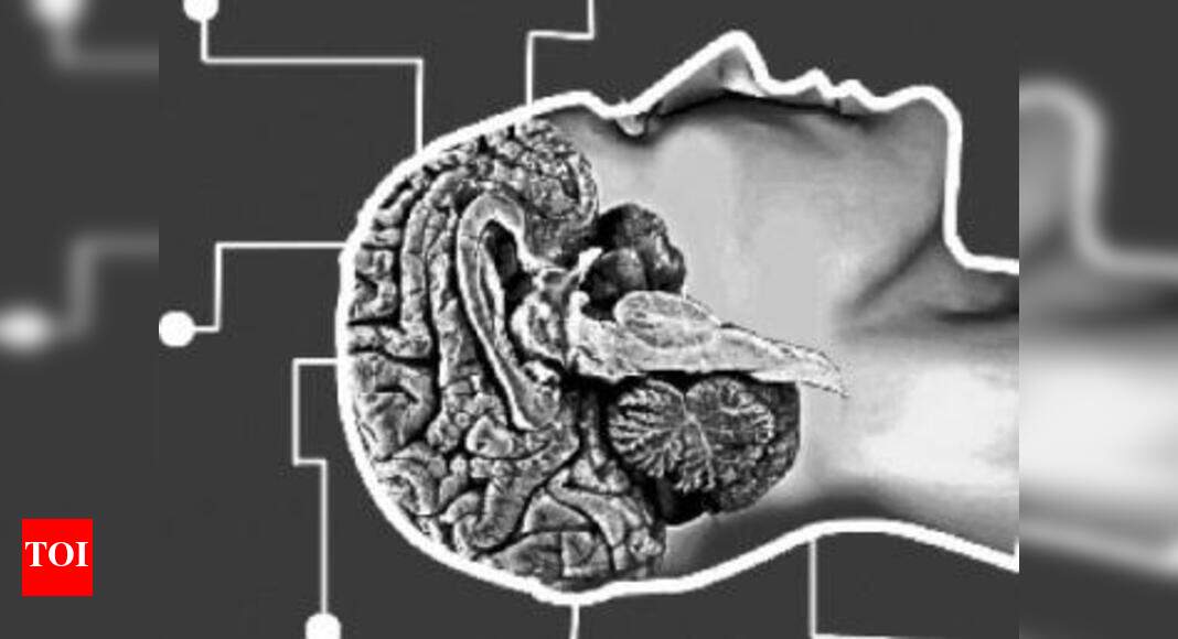 smart brain noida smart brain noida