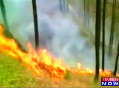 Fire rages on in Uttarakhand, over 2000 acres of forest cover destroyed