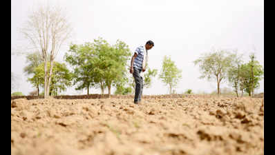 In UP’s parched Bundelkhand, one farmer scripts a success story, sets example