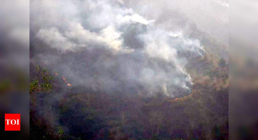 Uttarakhand Forest Fires: Natural Or Motivated? | India News - Times Of ...