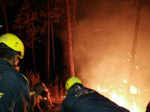 Fire situation under control in Uttarakhand: Rajnath