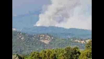 Risks of fire in forest belt of Dhar block in Pathankot