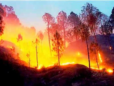 Relief for Uttarakhand as showers douse fires