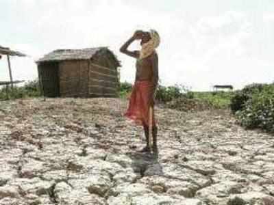 Water scarcity to cost growth, spark conflict, migration: World Bank