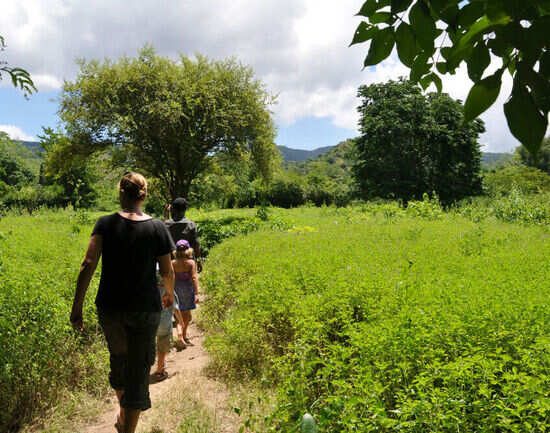 Exploring Indonesia&rsquo;s Komodo National Park in a day