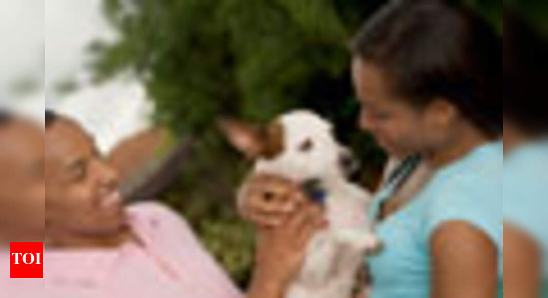 Can pets catch H1N1 flu from humans? Times of India