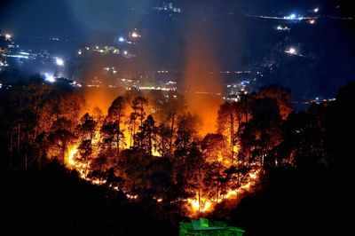 Himachal witnesses 60 fresh incidents of forest fires