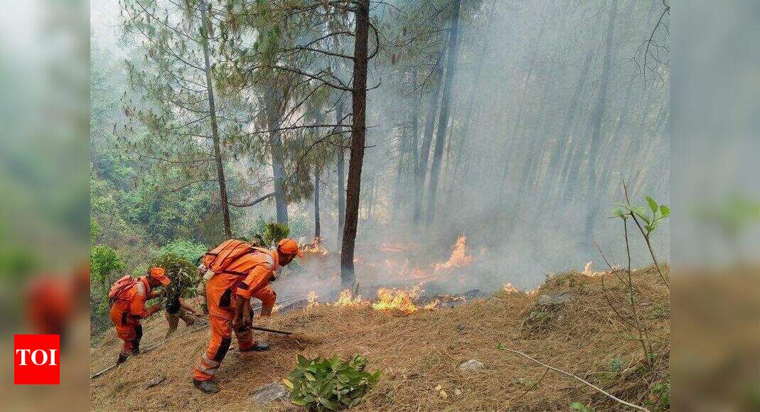 Forest fires doused in Uttarakhand, official says India News Times