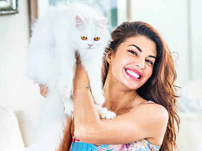 Sonam and I are competitive not insecure: Jacqueline Fernandez