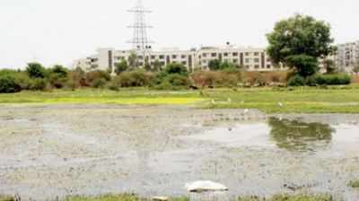 Infosys Foundation offers to revive lakes, but govt keeps mum