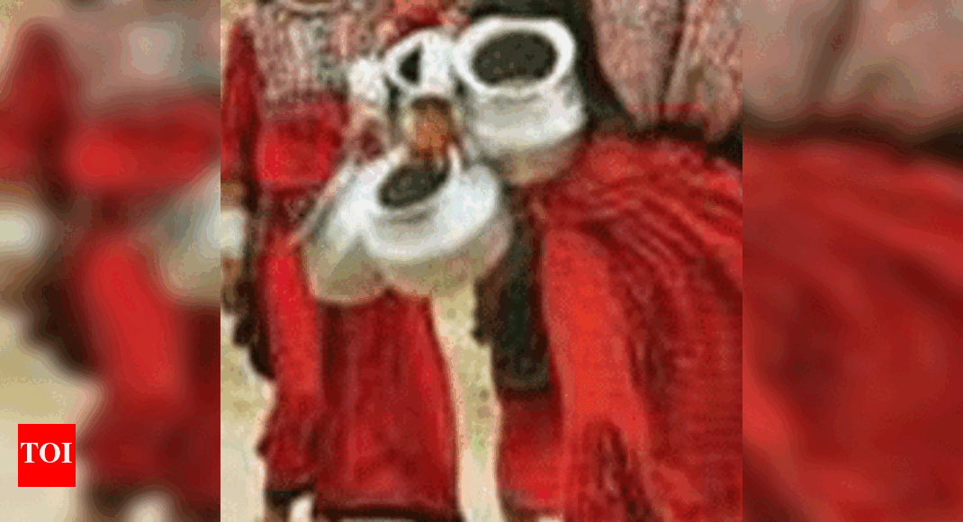 Denial Of Forest Rights Spurs Conflict In Little Rann Ahmedabad News Times Of India