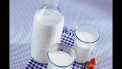 Odisha dairy farmers pour 20,000 litre milk on road