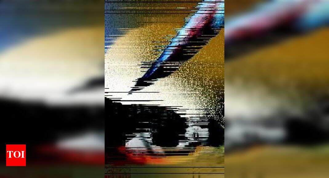 Man kills son, wife to offer them as sacrifice | Jaipur News - Times of ...