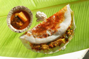 Mysore masala dosa