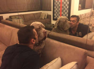 Salman shares picture with his dog, tags it 'unconditional'