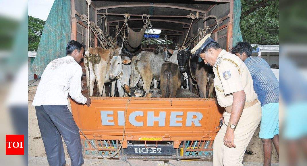 Animal cruelty cases down by 64% in 8 states | India News - Times of India