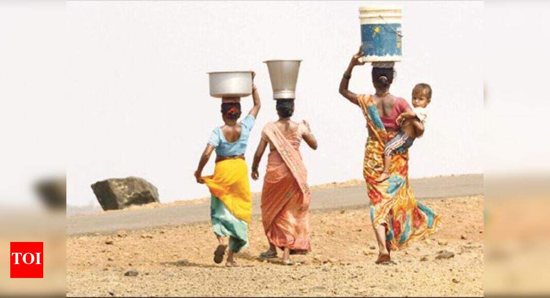 What measures taken to tackle water crisis Rajasthan HC Jaipur News