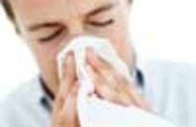 Common cold virus may stave off swine flu