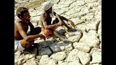 Congress demands 11 district of Gujarat be declared drought-affected