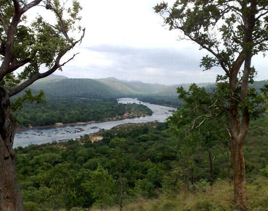 Cauvery Fishing Camps