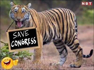 Mocktale: Tigers announce ‘Save Congress’ campaign