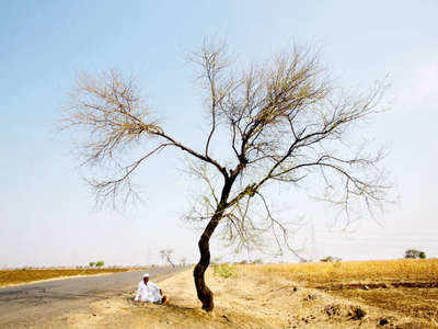 Three drought-hit states get extra foodgrains after Supreme Court directive