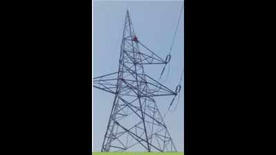 Man climbs high tension electric pole in Firozabad, disrupts power supply in 3 UP districts