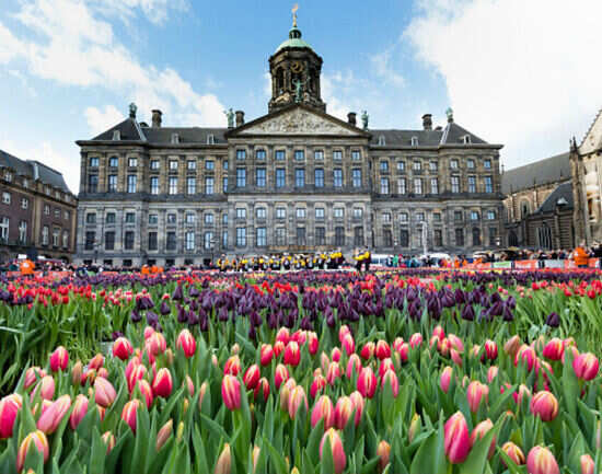 Dam Square