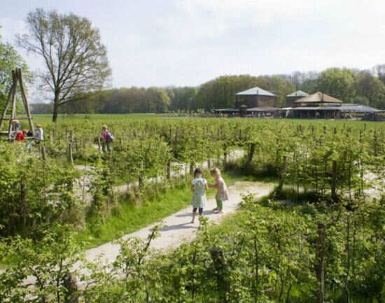 Geitenboerderij Ridammerhoeve