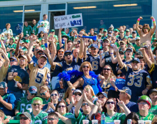 Blue Bomber Game