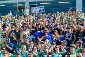 Blue Bomber Game