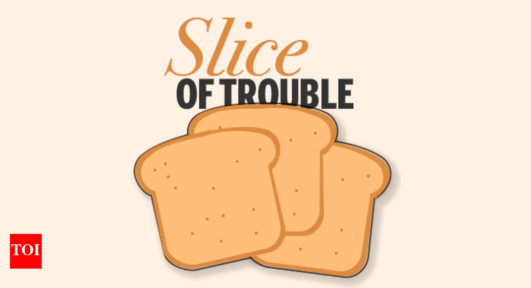 Why CSE wants a ban on bread Times of India