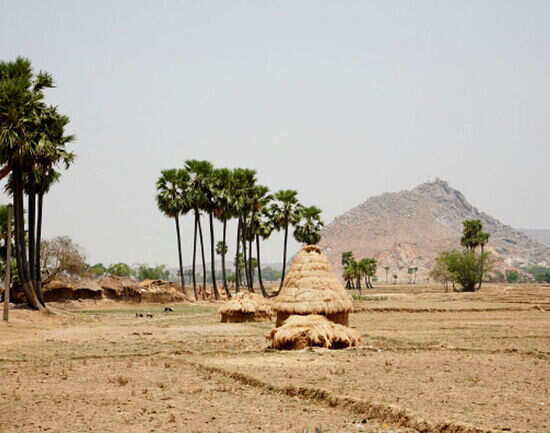 Temples, hills, caves: some prominent excursions from Gaya