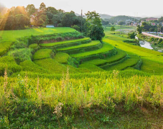 Things to do in and around Hanoi
