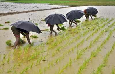 Government bullish on farm growth on good monsoon hopes