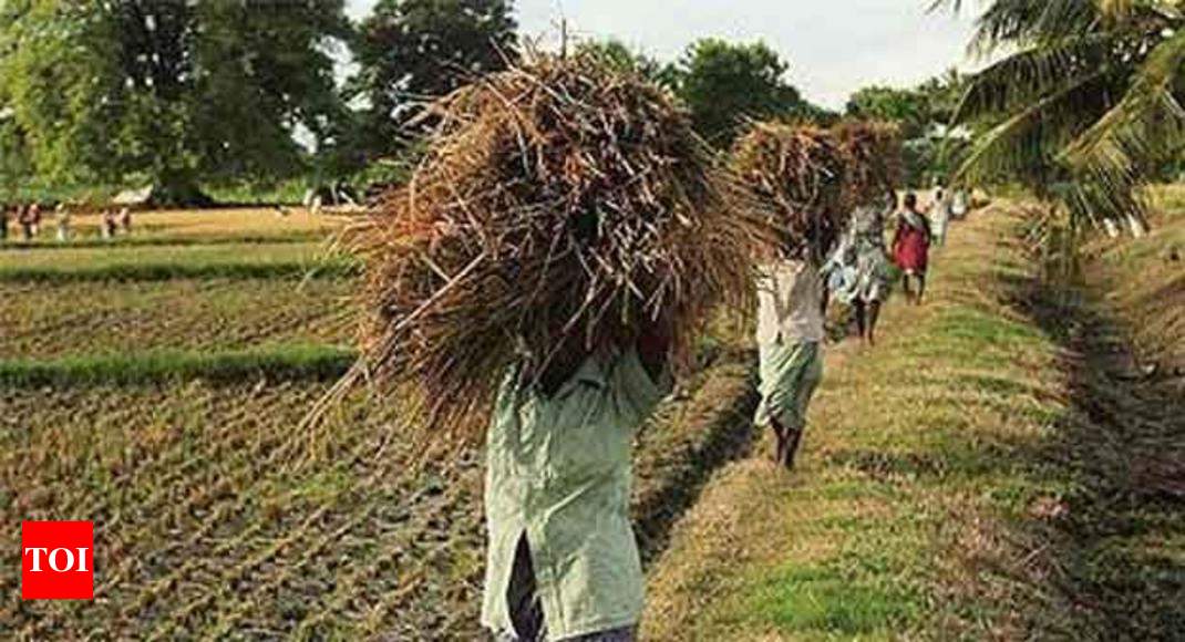 no-plan-to-tax-agricultural-income-govt-india-news-times-of-india