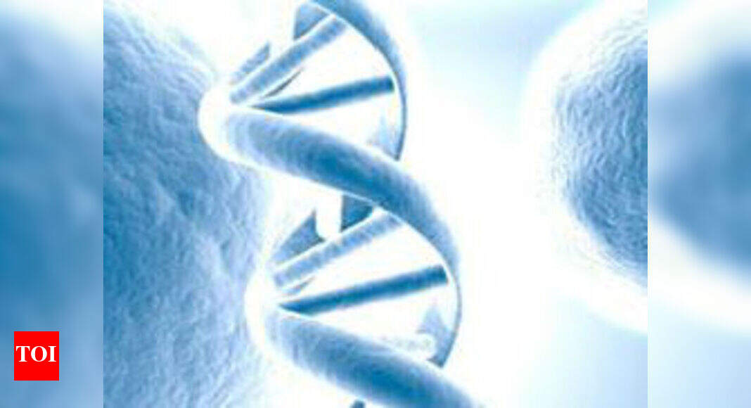 Sound-like bubbles whizzing around in DNA essential to life - Times of ...