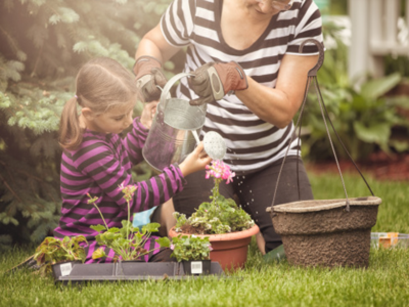 Protect your garden this season - Times of India