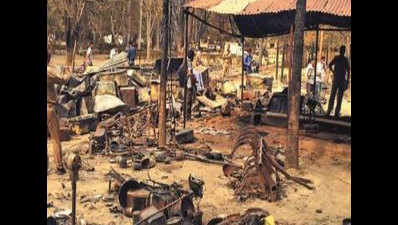 Inside Mathura park, stench of death and a bomb factory
