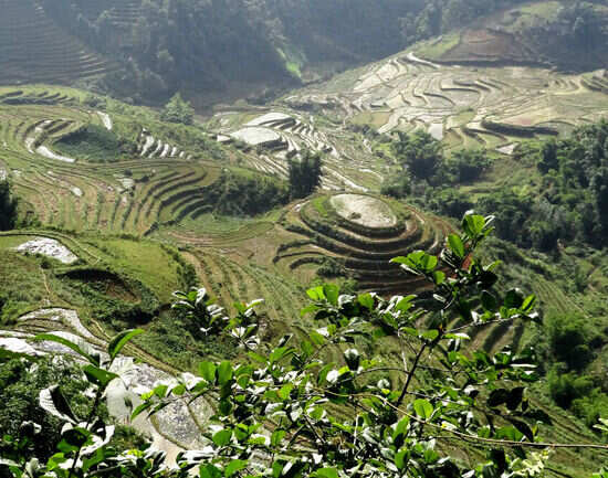 Muong Hoa Valley