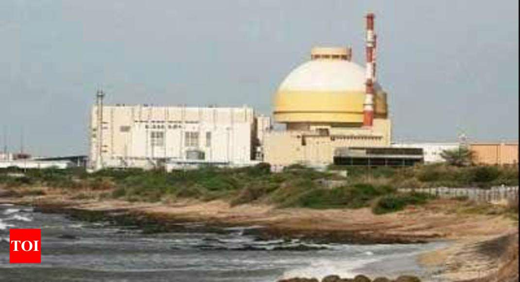 case study of nuclear disaster in india